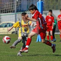MUENCHNER_MERKUR_CUP__YOUNGSTER_GET_THROUGH